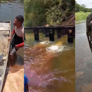 Pescadores pedem socorro e denunciam sumiço de peixes no rio Mucuri; ANA autoriza operação de emergência