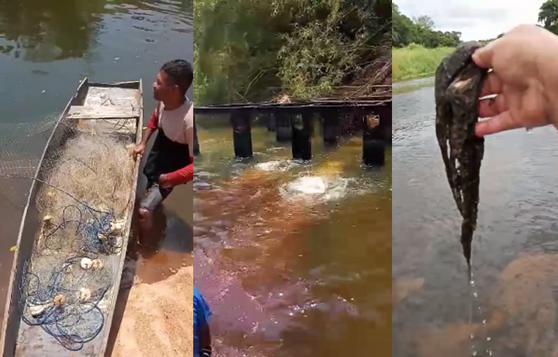 Pescadores pedem socorro e denunciam sumiço de peixes no rio Mucuri; ANA autoriza operação de emergência