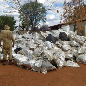 Atuação da PM contra criminalidade resulta em apreensão histórica de droga no oeste da Bahia