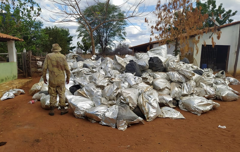 Atuação da PM contra criminalidade resulta em apreensão histórica de droga no oeste da Bahia