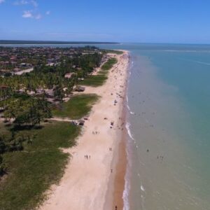 Nova Viçosa sedia o 1º Festival da Baleia Jubarte de 9 a 16 de Outubro