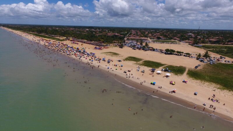 Nova Viçosa sedia o 1º Festival da Baleia Jubarte de 9 a 16 de Outubro