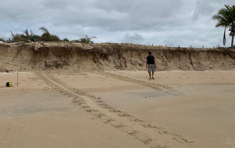 Praias são monitoradas para proteger desova das tartarugas marinhas em Mucuri