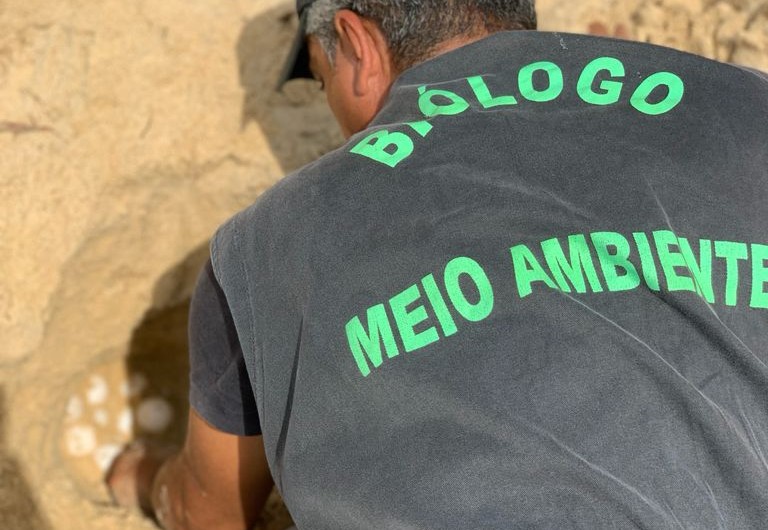 Praias são monitoradas para proteger desova das tartarugas marinhas em Mucuri