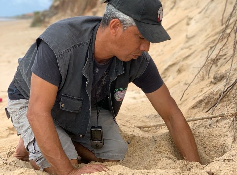 Praias são monitoradas para proteger desova das tartarugas marinhas em Mucuri