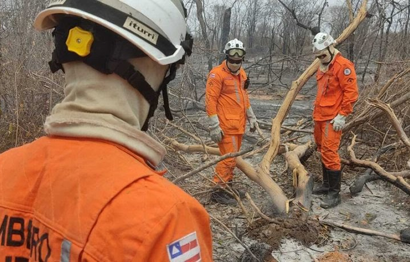 12 aeronaves e um helicóptero auxiliam no combate aos incêndios florestais no interior baiano