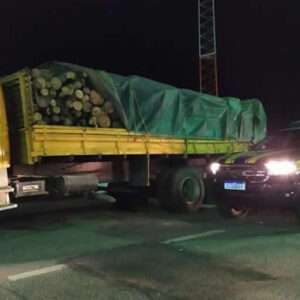 Madeira nativa transportada ilegalmente é apreendida no interior da Bahia