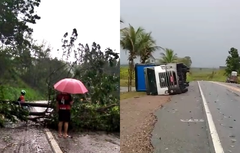 Forte temporal arranca árvores e provoca acidente com carreta entre Eunápolis e Itabela