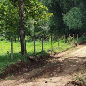 Vereda: Lançado o “Caminhos de Nossa Gente” para o desenvolvimento da zona rural