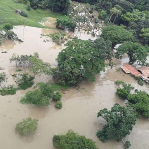 Bahia tem mais de 70 cidades em estado de emergência após enchentes