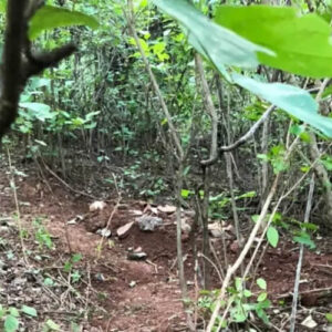 Após três dias desaparecido, casal é encontrado morto na Chapada