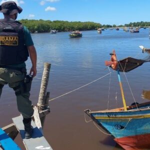 Operação busca garantir defeso do caranguejo-uçá em Mucuri