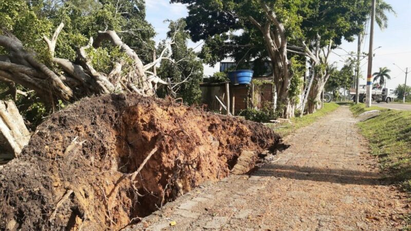 Chuva, vento e granizo destroem árvores e telhados em Mucuri