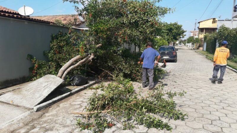 Chuva, vento e granizo destroem árvores e telhados em Mucuri