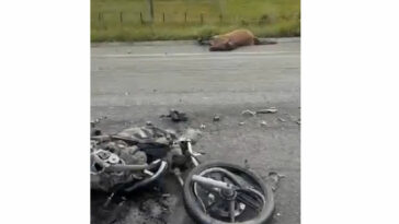 Motociclista morre após bater em animal e ser atropelado por carreta em Itabela