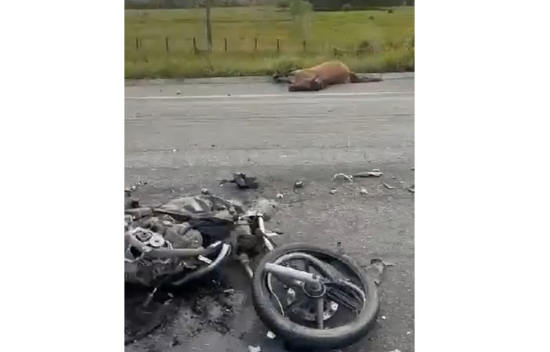 Motociclista morre após bater em animal e ser atropelado por carreta em Itabela