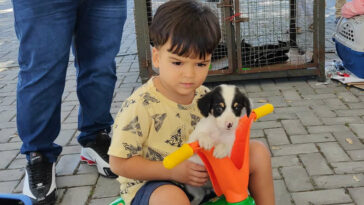 Prefeitura de Eunápolis realiza Feira de Adoção com animais resgatados pelo Centro de Controle de Zoonoses