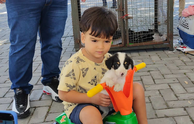 Prefeitura de Eunápolis realiza Feira de Adoção com animais resgatados pelo Centro de Controle de Zoonoses