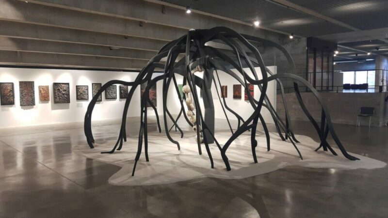 Exposição das obras de Frans Krajcberg termina visitação neste domingo (31) em São Paulo