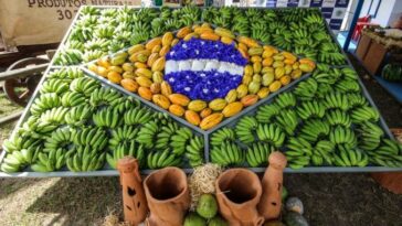 A 38ª Exposição Agropecuária começa nesta quarta e encerra domingo (18) em Teixeira de Freitas