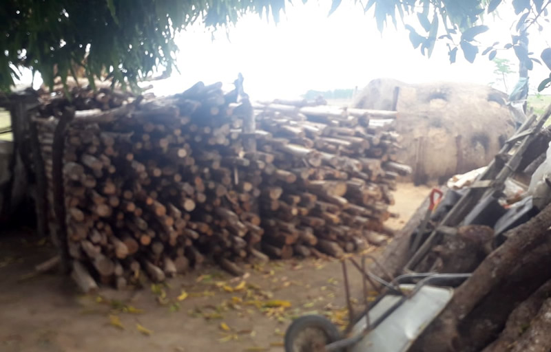 Preso homem suspeito de crime ambiental em Caravelas