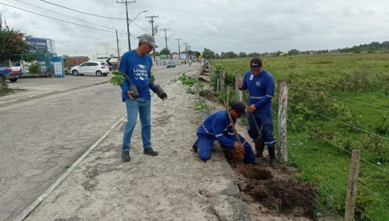 Prefeitura e Embasa recomeçam plantios de árvores na zona urbana de Mucuri