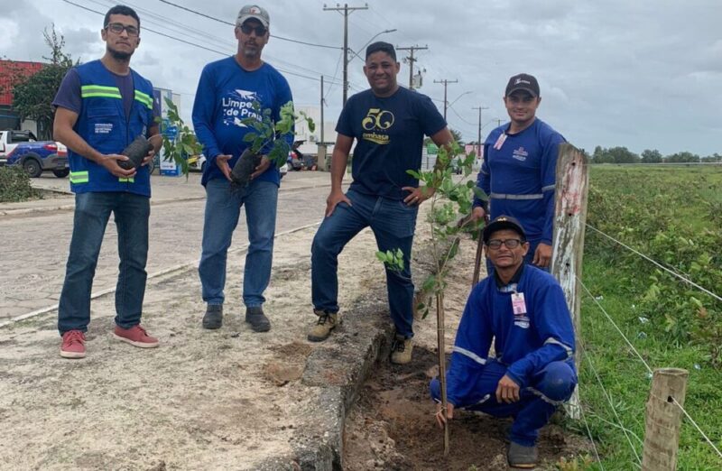 Prefeitura e Embasa recomeçam plantios de árvores na zona urbana de Mucuri