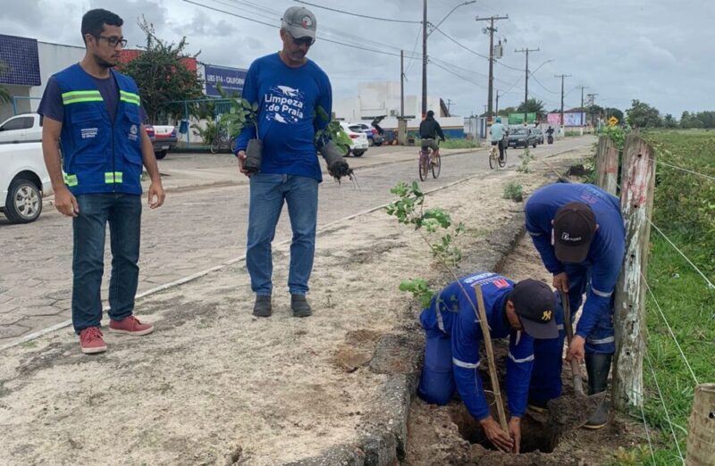 Prefeitura e Embasa recomeçam plantios de árvores na zona urbana de Mucuri