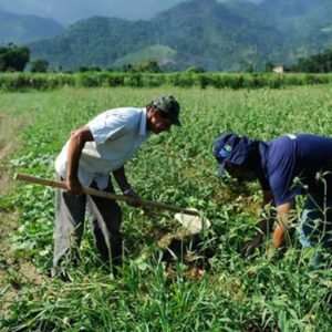 Safra de grãos do Sul do Brasil pode ser afetada por fenômeno La Niña