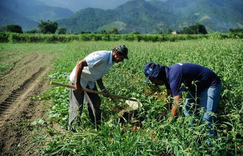 Safra de grãos do Sul do Brasil pode ser afetada por fenômeno La Niña