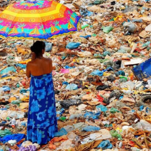 Meio ambiente: Embaixada dos EUA promove exibição fotográfica sobre o tema em Salvador