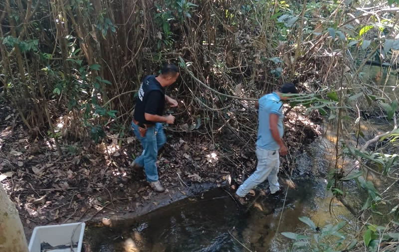 Corpo encontrado em córrego continua sem identificação no IML de Teixeira de Freitas