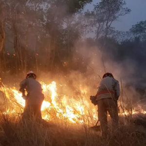 Corpo de Bombeiros emite alerta máximo para incêndios no extremo sul da Bahia