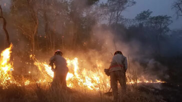 Corpo de Bombeiros emite alerta máximo para incêndios no extremo sul da Bahia