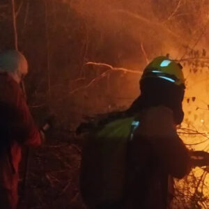 Incêndio no Parque Nacional do Monte Pascoal já destruiu quase 200 hectares