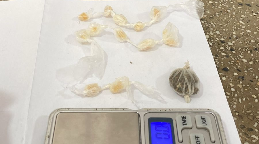 Polícia apreende porções de drogas e pé de maconha de 1 metro de tamanho sendo cultivado em Teixeira de Freitas