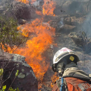 Bombeiros militares atuam no combate a incêndios florestais em Porto, Eunápolis e Itamaraju