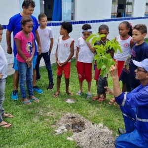 Ação Ambiental: Prefeitura e EMBASA levam plantio de mudas nativas a uma Escola de Mucuri