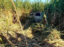 Morador de Lajedão é encontrado morto dentro do próprio carro em canavial de Ibirapuã