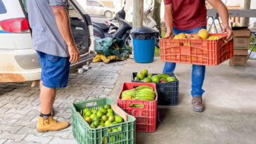 Prefeitura de Eunápolis inicia aquisição de alimentos de agricultores familiares para 2024