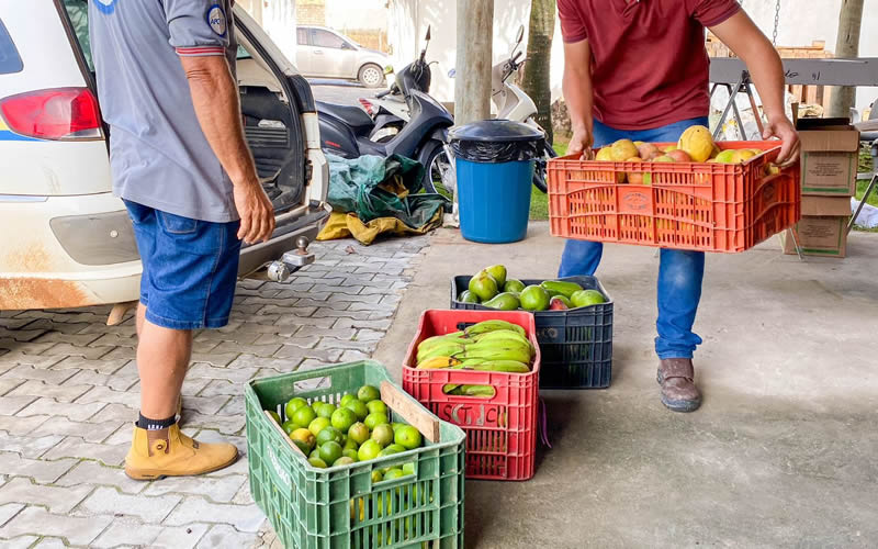 Prefeitura de Eunápolis inicia aquisição de alimentos de agricultores familiares para 2024