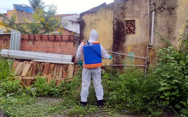 Sobe para 56 número de mortes por dengue na Bahia; extremo sul ainda fora da lista