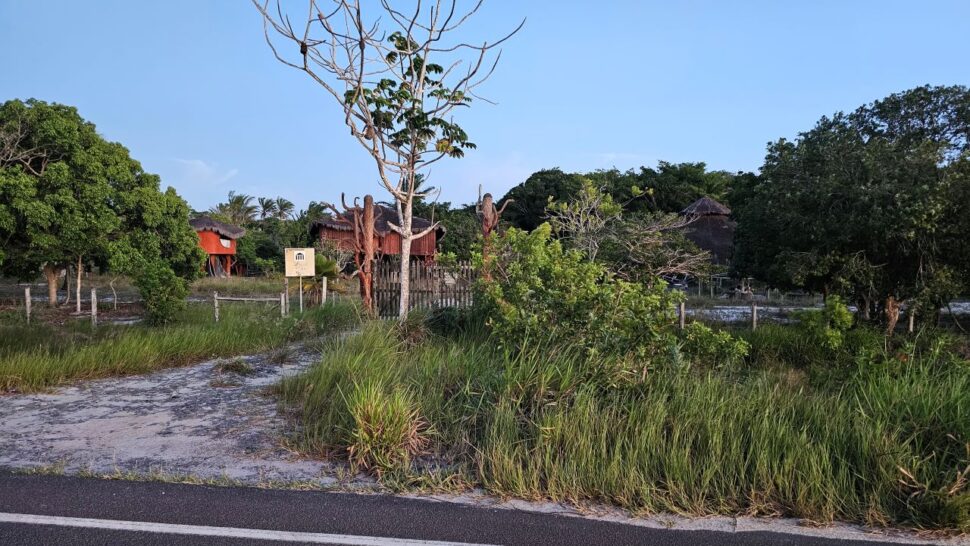 Museu Frans Krajcberg é esquecido pelo Governo da Bahia e patrimônio é tomado pelo mato em Nova Viçosa 1 Museu Frans Krajcberg é esquecido pelo Governo da Bahia e patrimônio é tomado pelo mato em Nova Viçosa