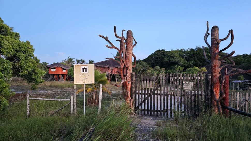 Museu Frans Krajcberg é esquecido pelo Governo da Bahia e patrimônio é tomado pelo mato em Nova Viçosa 2 Museu Frans Krajcberg é esquecido pelo Governo da Bahia e patrimônio é tomado pelo mato em Nova Viçosa