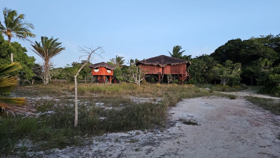 Museu Frans Krajcberg é esquecido pelo Governo da Bahia e patrimônio é tomado pelo mato em Nova Viçosa 3 Museu Frans Krajcberg é esquecido pelo Governo da Bahia e patrimônio é tomado pelo mato em Nova Viçosa