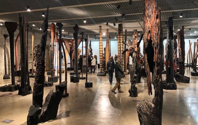Museu Frans Krajcberg é esquecido pelo Governo da Bahia e patrimônio é tomado pelo mato em Nova Viçosa 5 Museu Frans Krajcberg é esquecido pelo Governo da Bahia e patrimônio é tomado pelo mato em Nova Viçosa