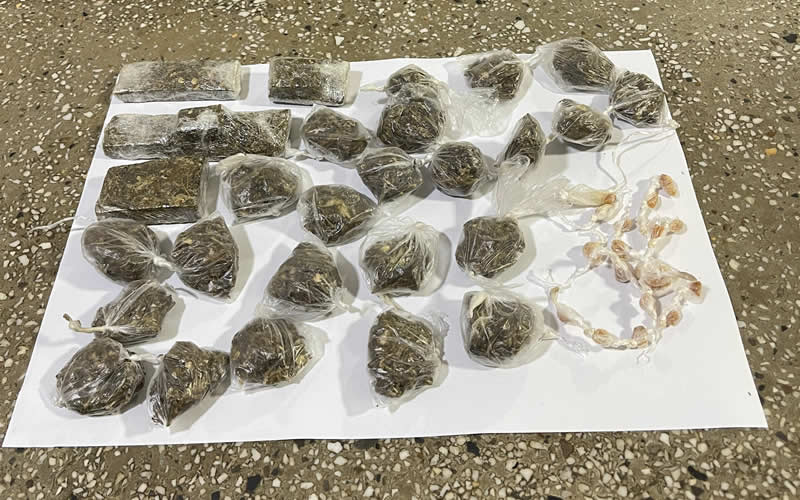 Polícia Militar apreende drogas em Teixeira de Freitas; mulher é presa 1 Polícia Militar apreende drogas em Teixeira de Freitas; mulher é presa