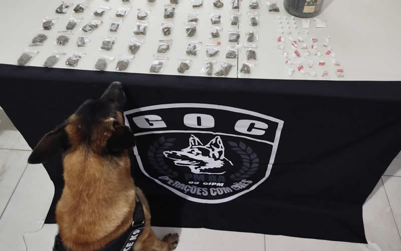 Cão farejador da PM localiza drogas em Mucuri 1 Cão farejador da PM localiza drogas em Mucuri