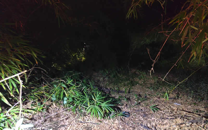 Polícia Civil atualiza investigação sobre a morte de motaxista em Teixeira de Freitas; lesão reforça hipótese de acidente 2 Polícia Civil atualiza investigação sobre a morte de motaxista em Teixeira de Freitas; lesão reforça hipótese de acidente
